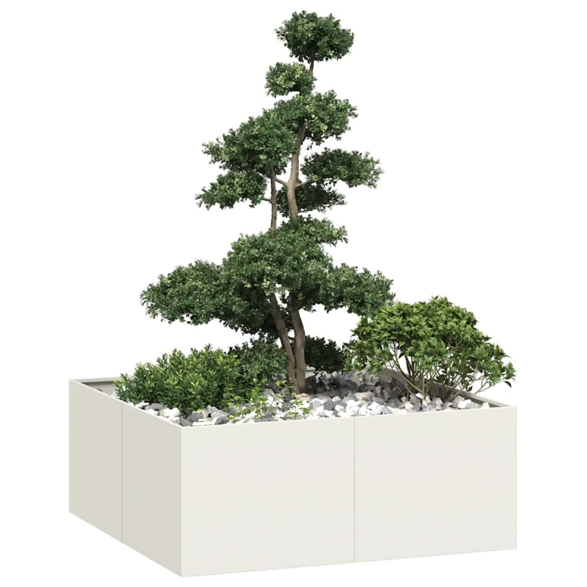 Un bonsai e cespugli in un fioriera bianca con pietre bianche.