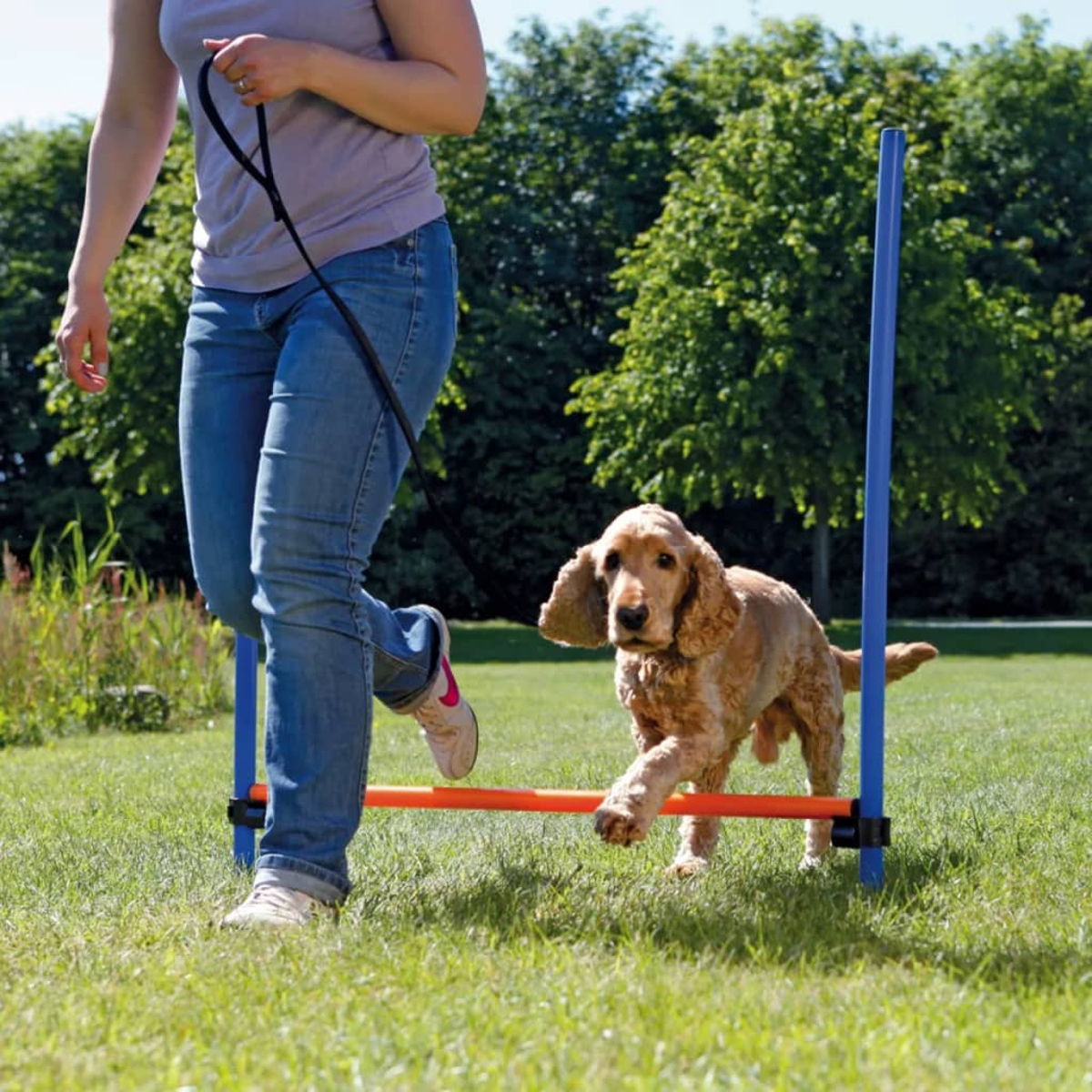 Un perro salta un obstáculo con una persona cerca. Entrenamiento al aire libre.