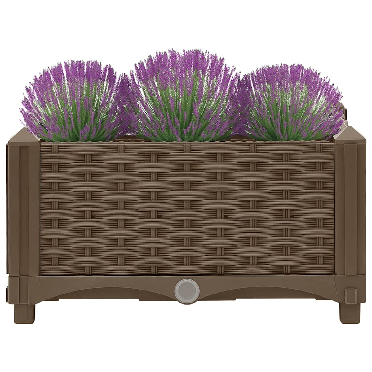 Brauner rechteckiger Blumenkasten mit drei Büscheln Lavendel darüber.