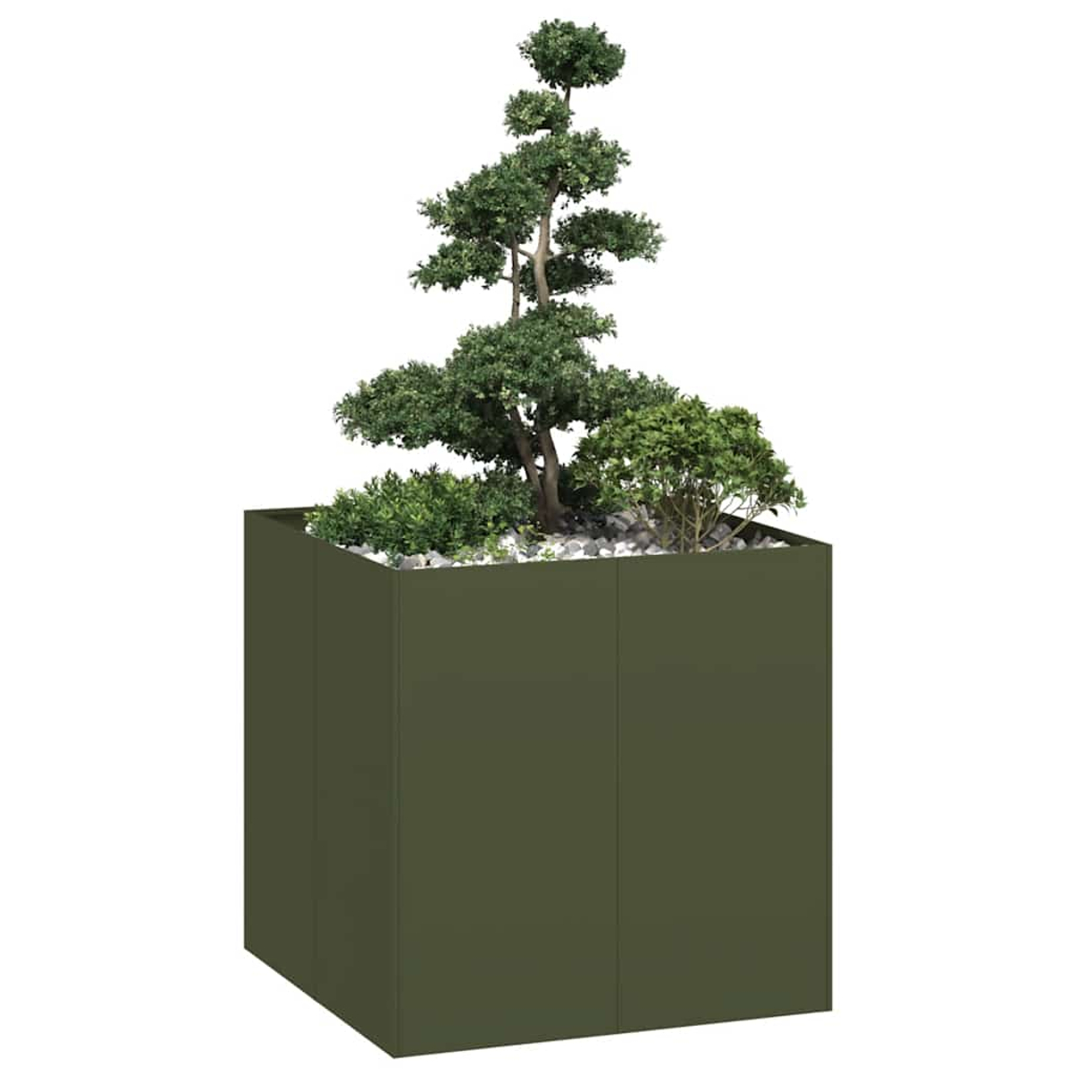 Un bonsai alto e stilizzato e cespugli più piccoli in un fioriera quadrata verde scuro.