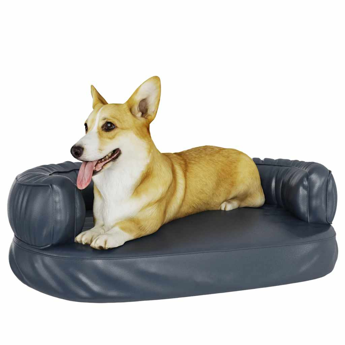 Ein Corgi-Hund mit herausgestreckter Zunge liegt auf einem dunkelblauen Hundebett in Sofaimit