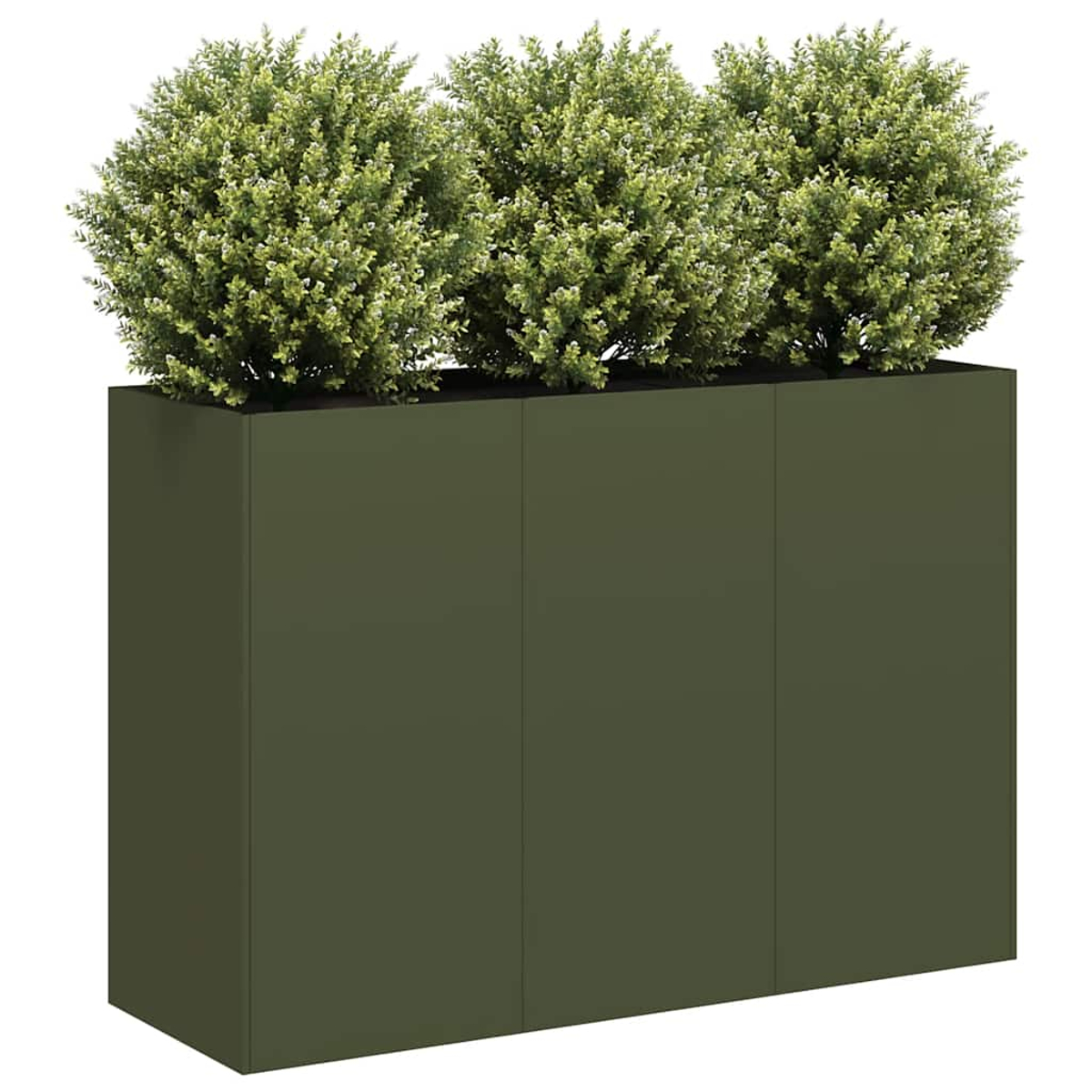 Un fioriera rettangolare verde scuro con tre cespugli sferici.