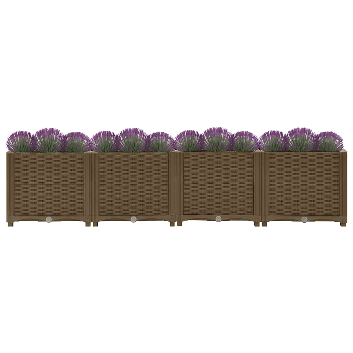 Braune Blumenkästen mit lila Lavendel in einer Reihe auf weißem Hintergrund.