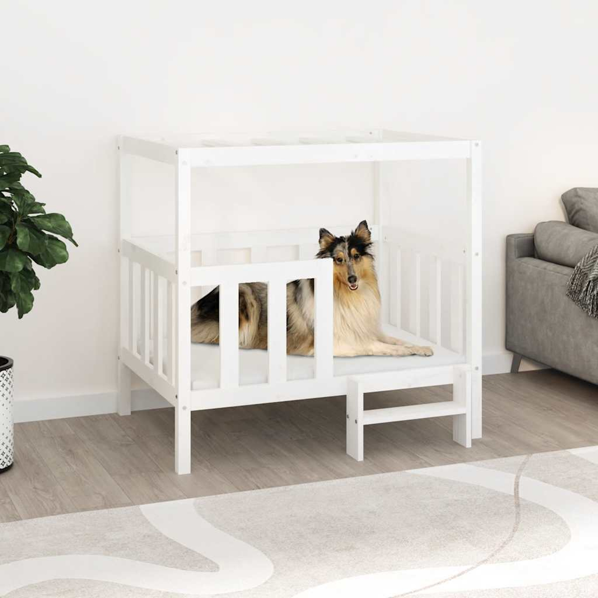 Ein Hund liegt in einem weißen Hundebett mit kleinem Hocker.