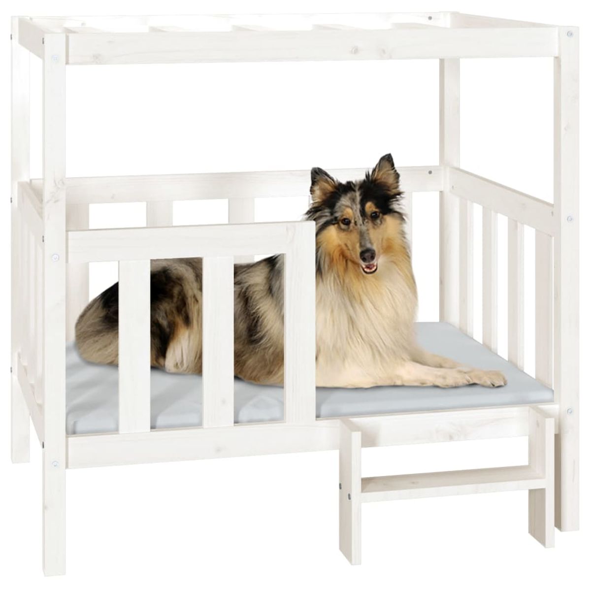 Ein Collie liegt in einem weißen Hundebett mit einer kleinen Treppe.