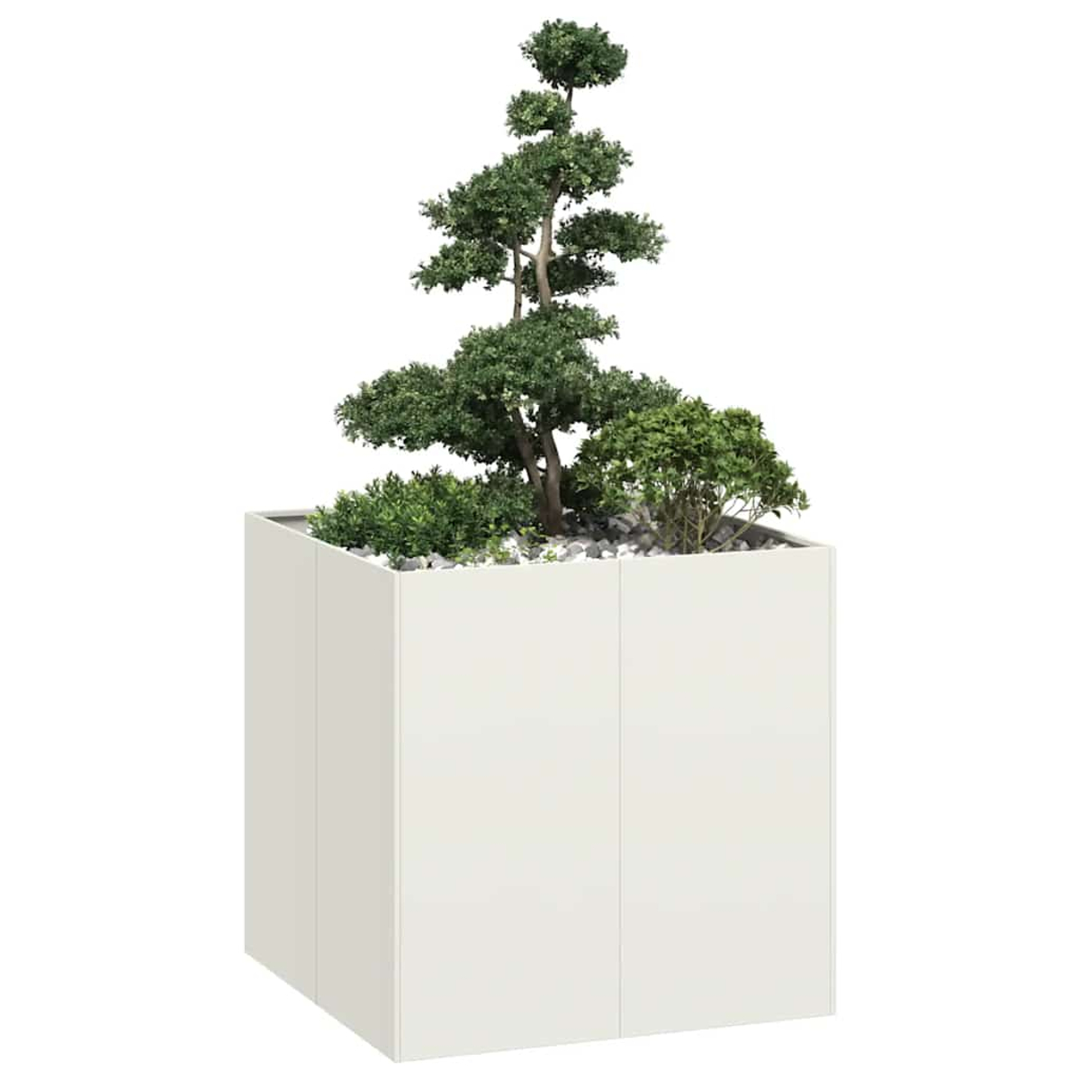 Fioriera cubica bianca con bonsai e piccoli cespugli verdi.