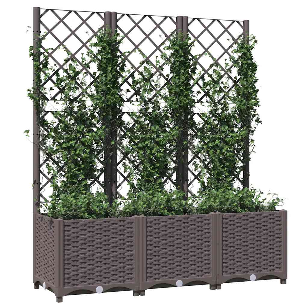 Ein brauner Pflanzenkasten mit vier Rankgittern, bewachsen mit grünen Pflanzen.
