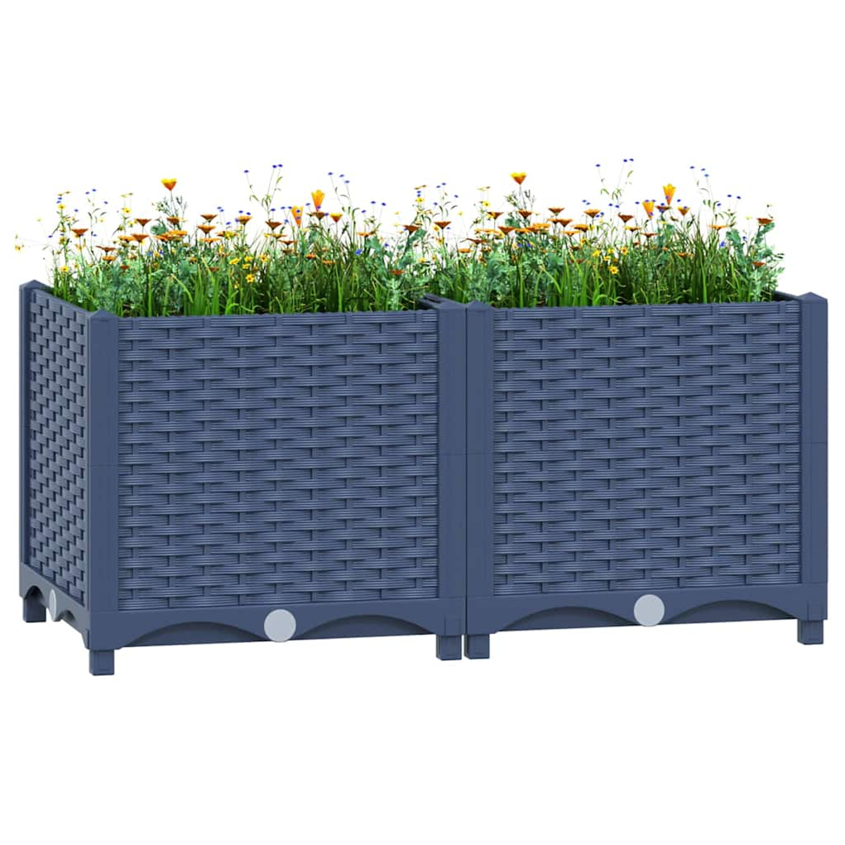 Ein dunkelblauer Hochbeet-Pflanzer mit zwei Modulen, gefüllt mit bunten Blumen und grüner Vegetation.