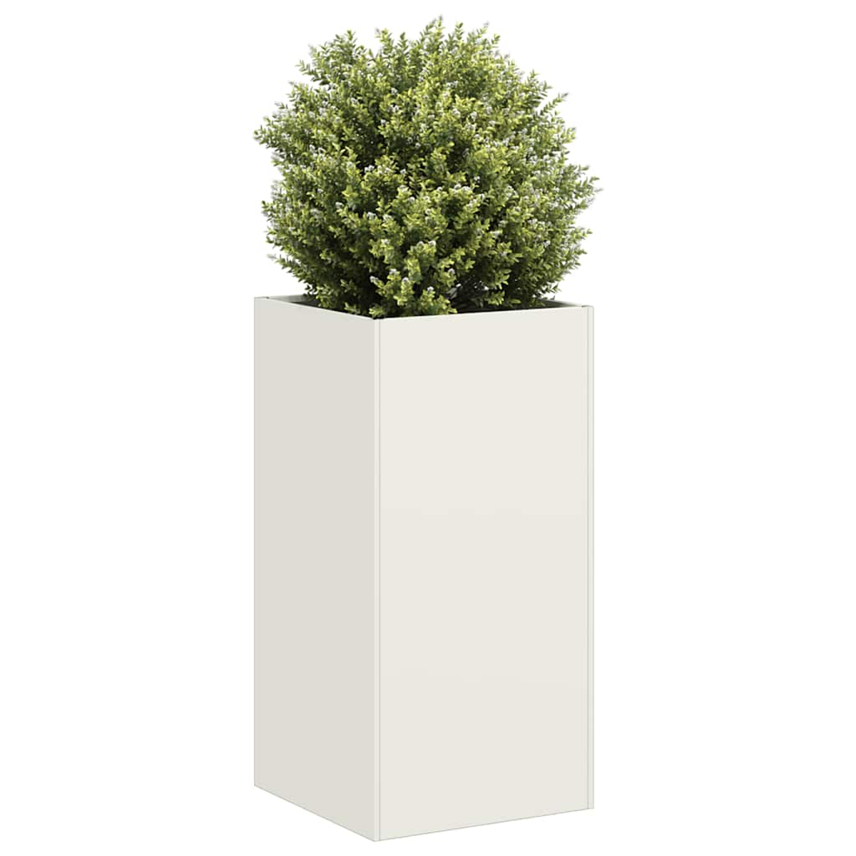Un cespuglio verde in un alto vaso rettangolare bianco su sfondo bianco.
