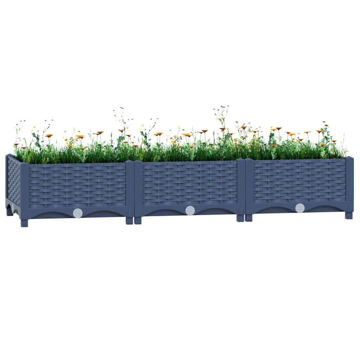 Ein langer grauer Hochbeet mit Blumen und Gräsern
