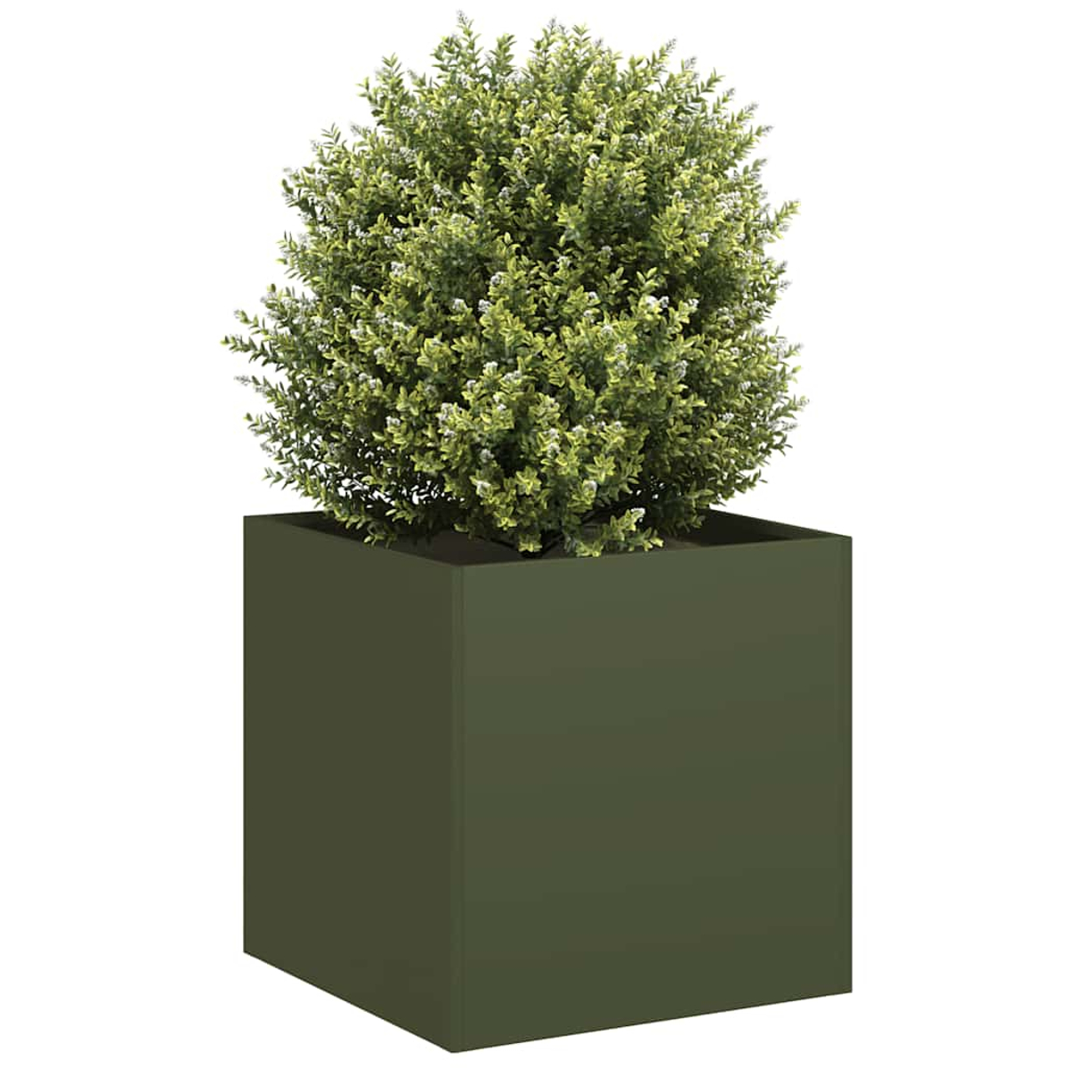 Un vaso cubico verde contiene una pianta folta verde chiaro con piccoli fiori bianchi.