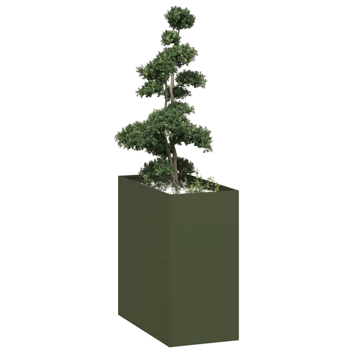 Un fioriera rettangolare verde contiene un piccolo albero stilizzato con fogliame verde lussureggiante e ciottoli bianchi.