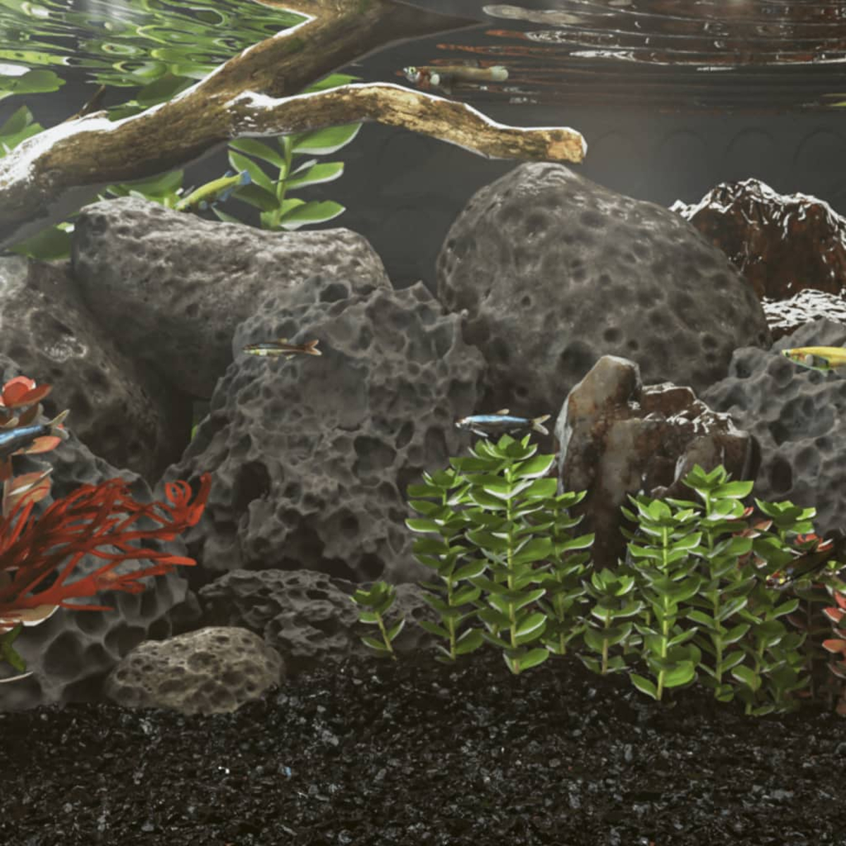 Ein Aquarium mit Fischen, Steinen und Pflanzen unter einem Ast.