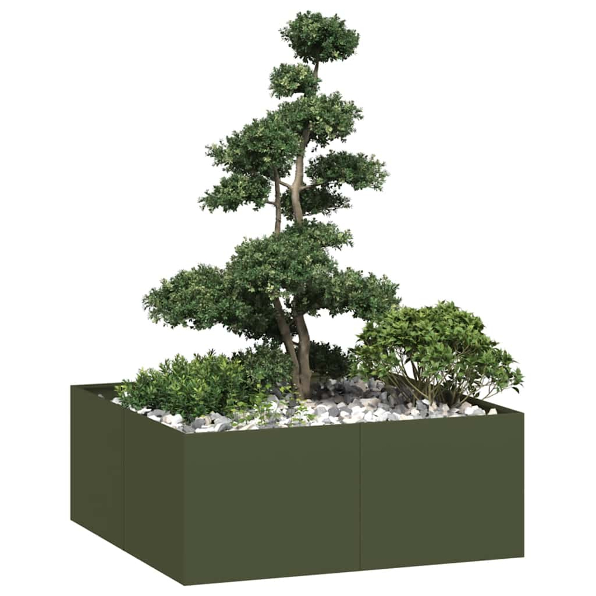 Un albero bonsai in un fioriera verde rettangolare con ghiaia e cespugli.
