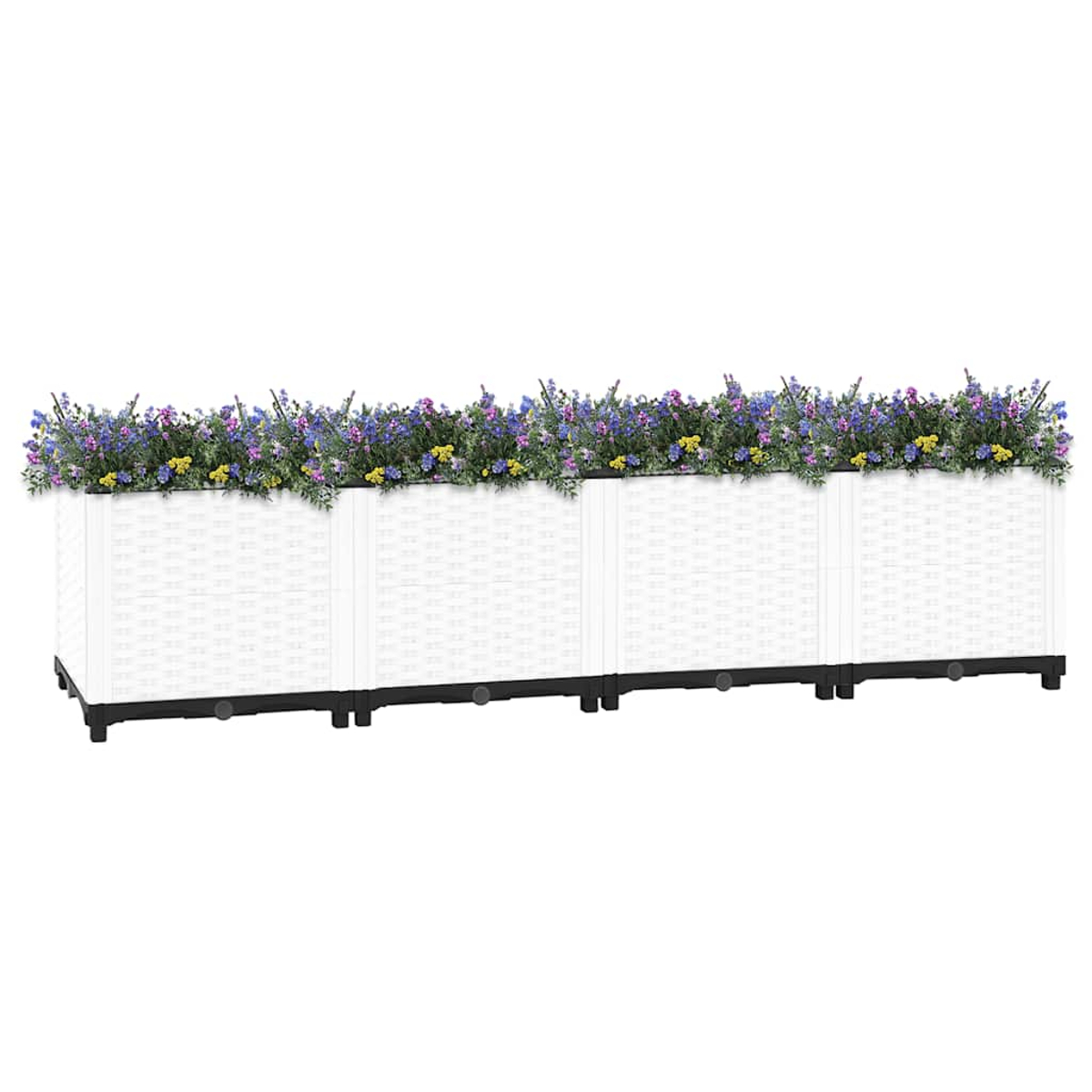 Ein langer weißer Blumenkasten mit grünen Pflanzen und lila/gelben Blumen.
