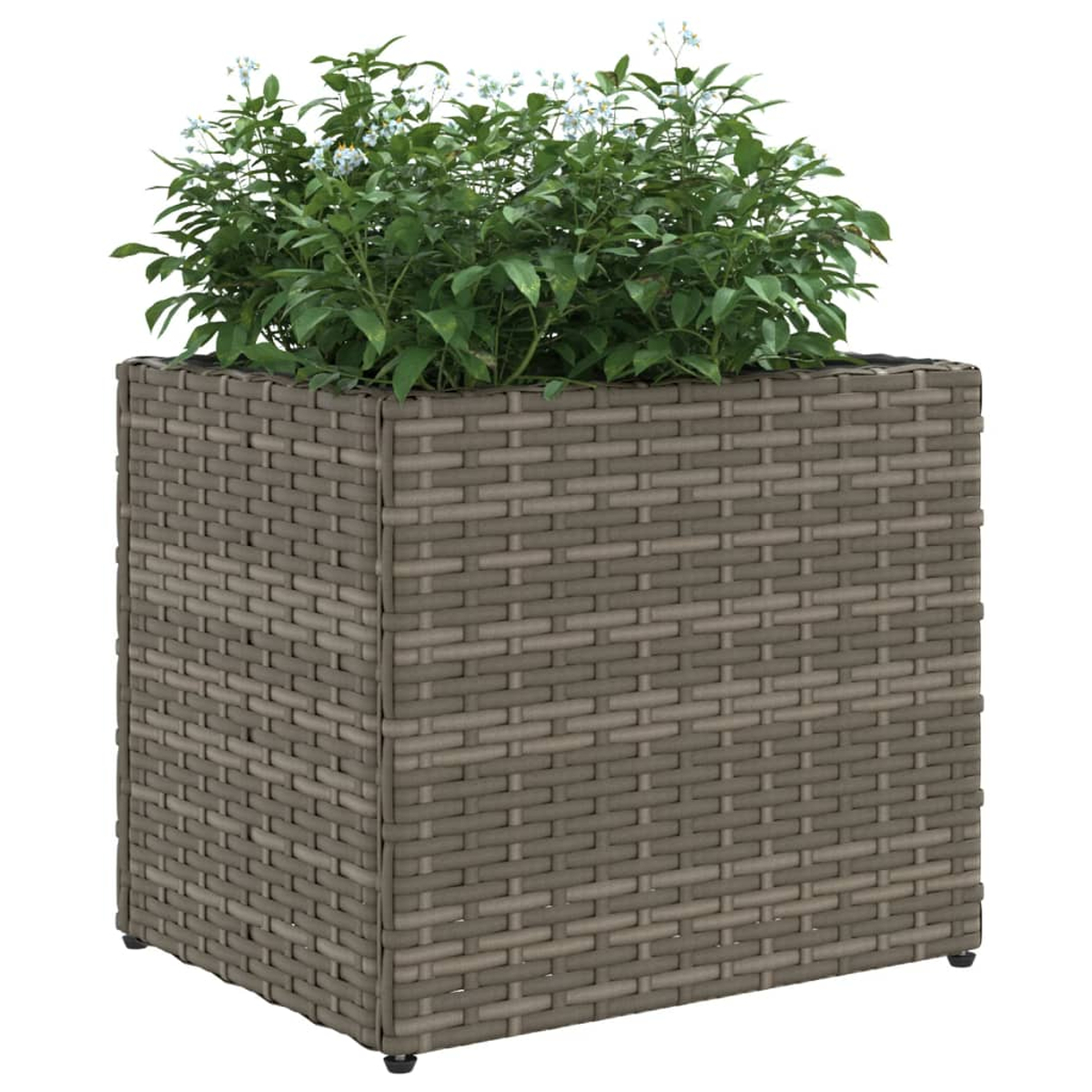 Una fioriera quadrata in rattan grigio piena di piante verdi e piccoli fiori bianchi.