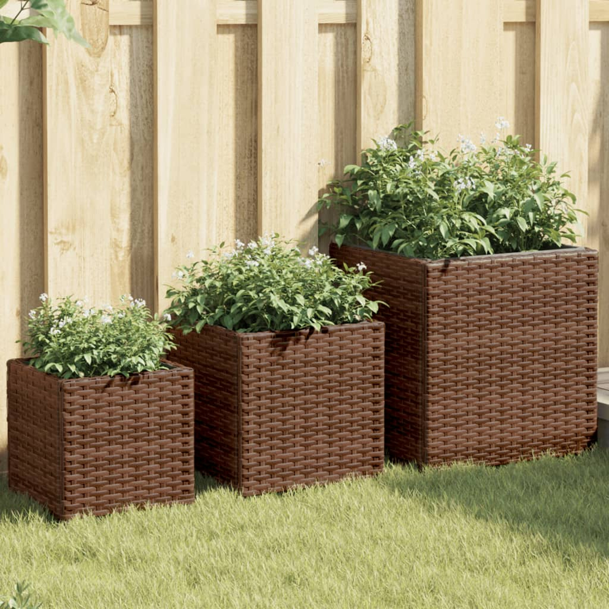 Drei braune Rattan-Pflanzgefäße mit grünen Pflanzen stehen auf Gras vor einem Holzzaun.