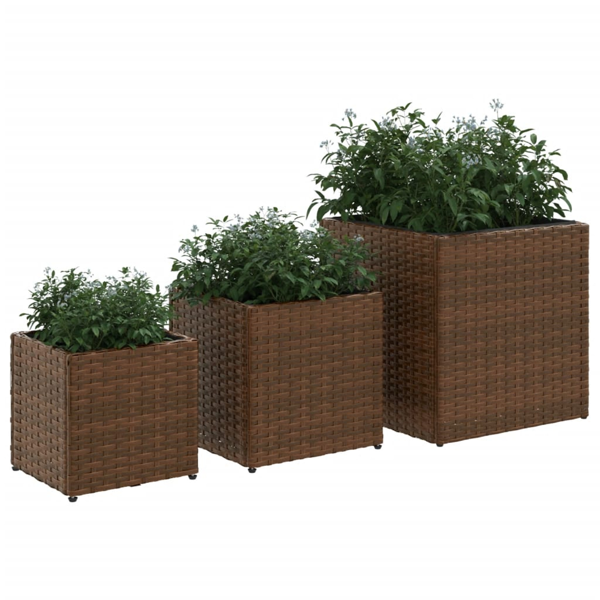 Drei braune Rattan-Pflanzgefäße in verschiedenen Größen mit grünen Pflanzen.