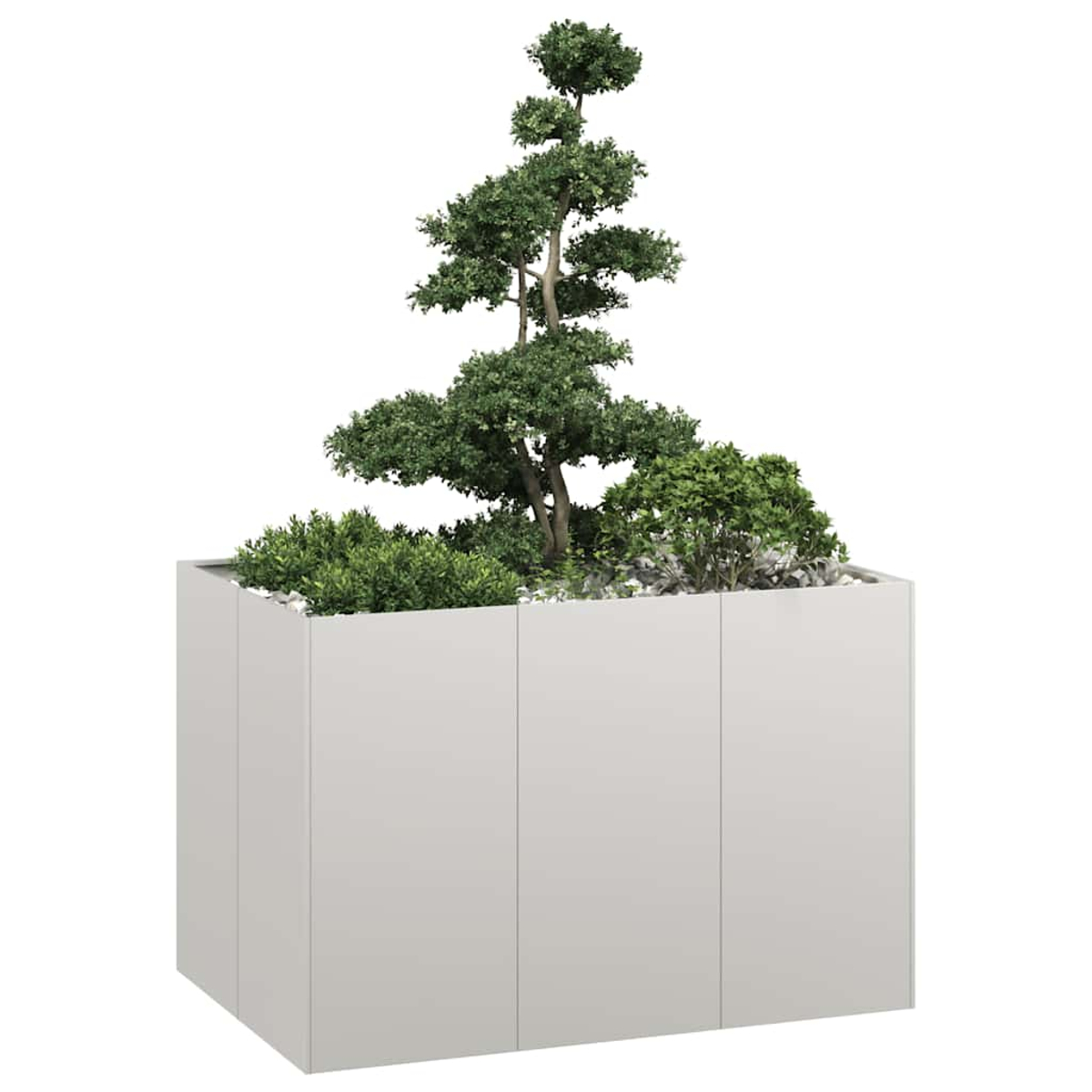 Un bonsai alto con cespugli in un fioriera rettangolare bianca.