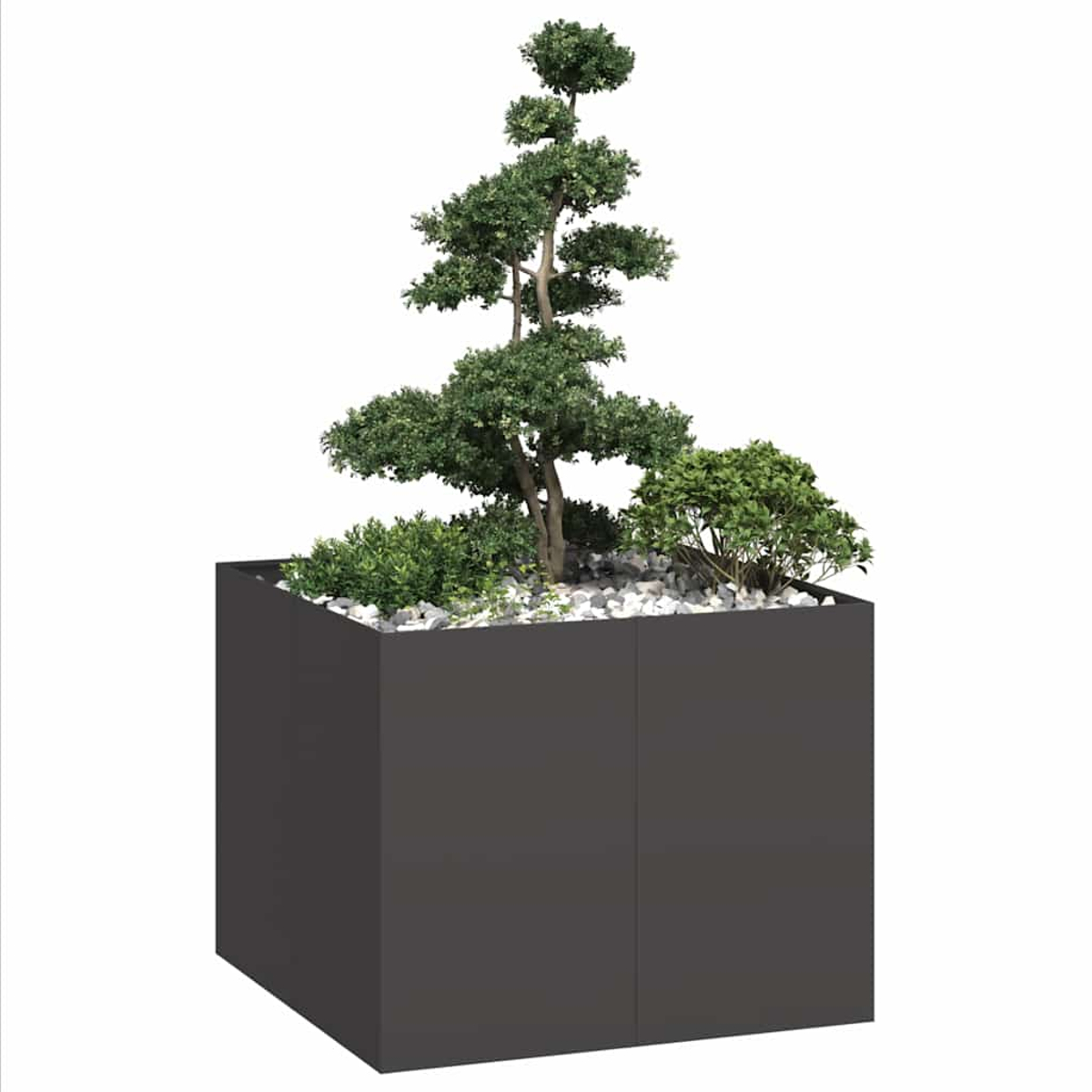 Ein Bonsai-Baum und Sträucher in einem dunklen rechteckigen Pflanzkübel auf weißem Hintergrund.