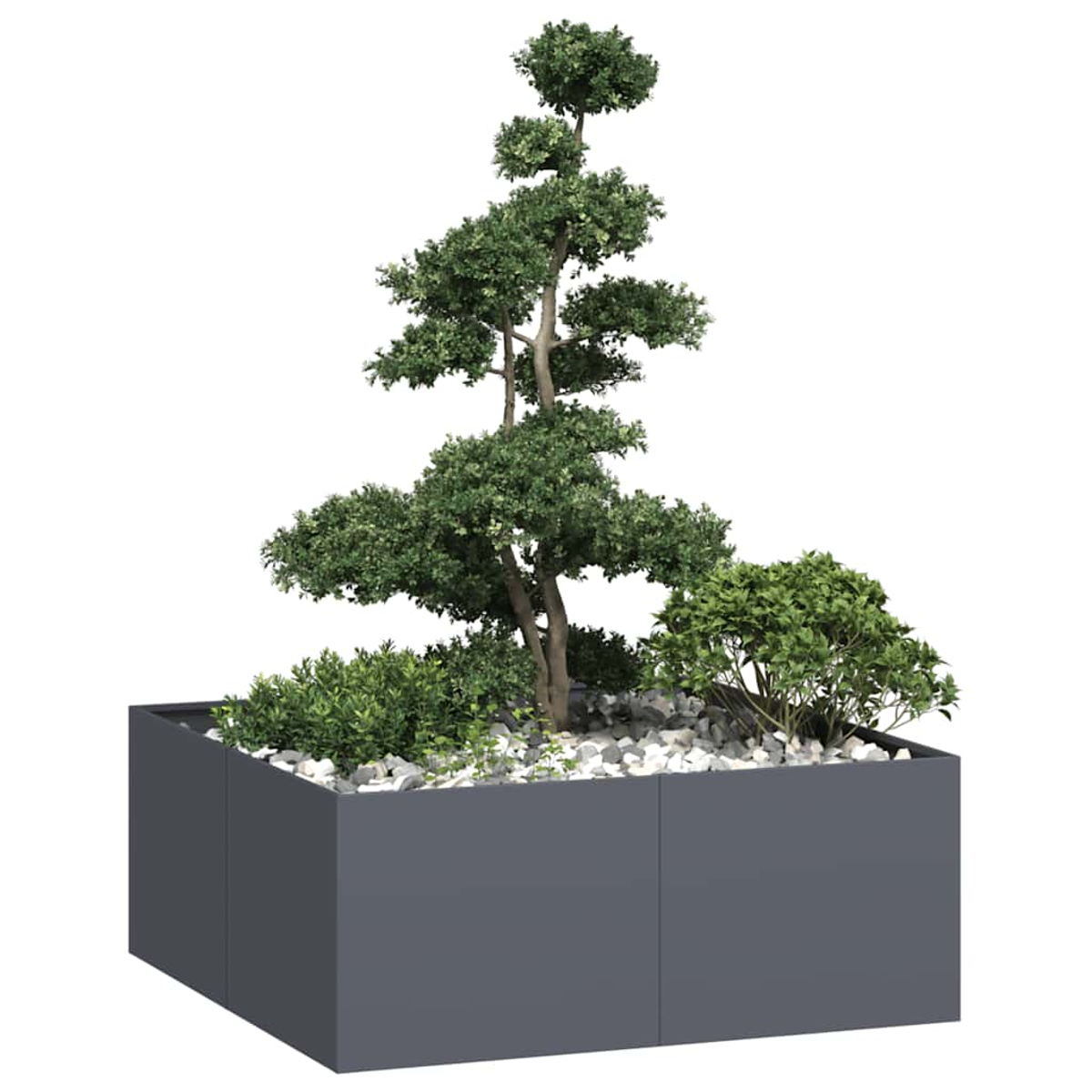 Un albero bonsai con cespugli in un fioriera grigia rettangolare, coperta di pietre bianche.