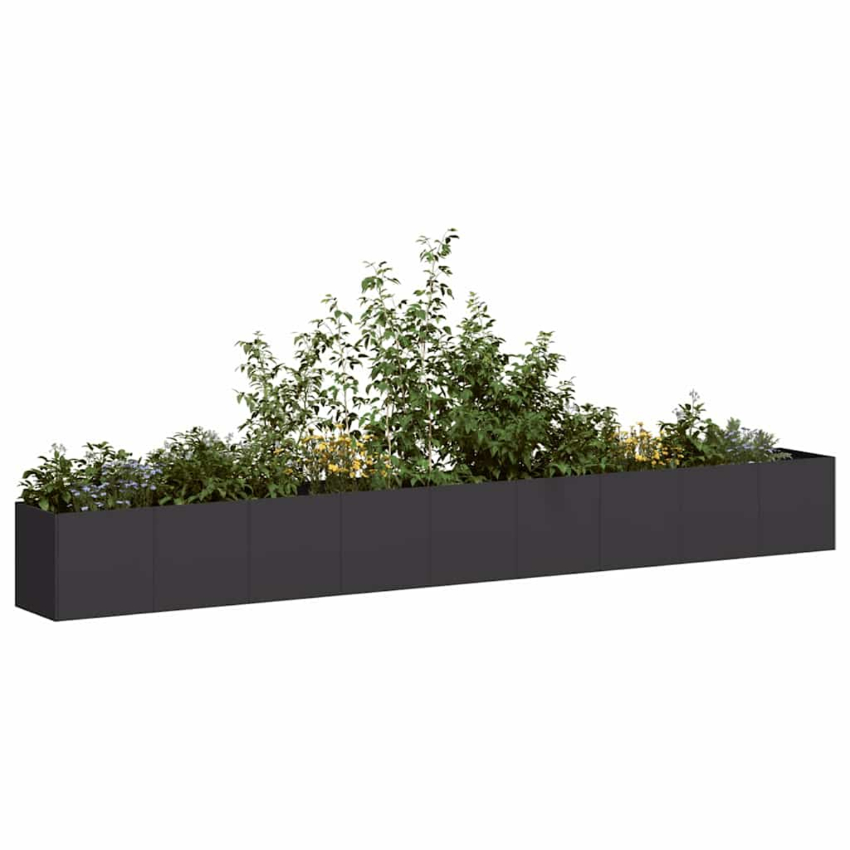 Una lunga fioriera scura con varie piante verdi e fiori gialli.