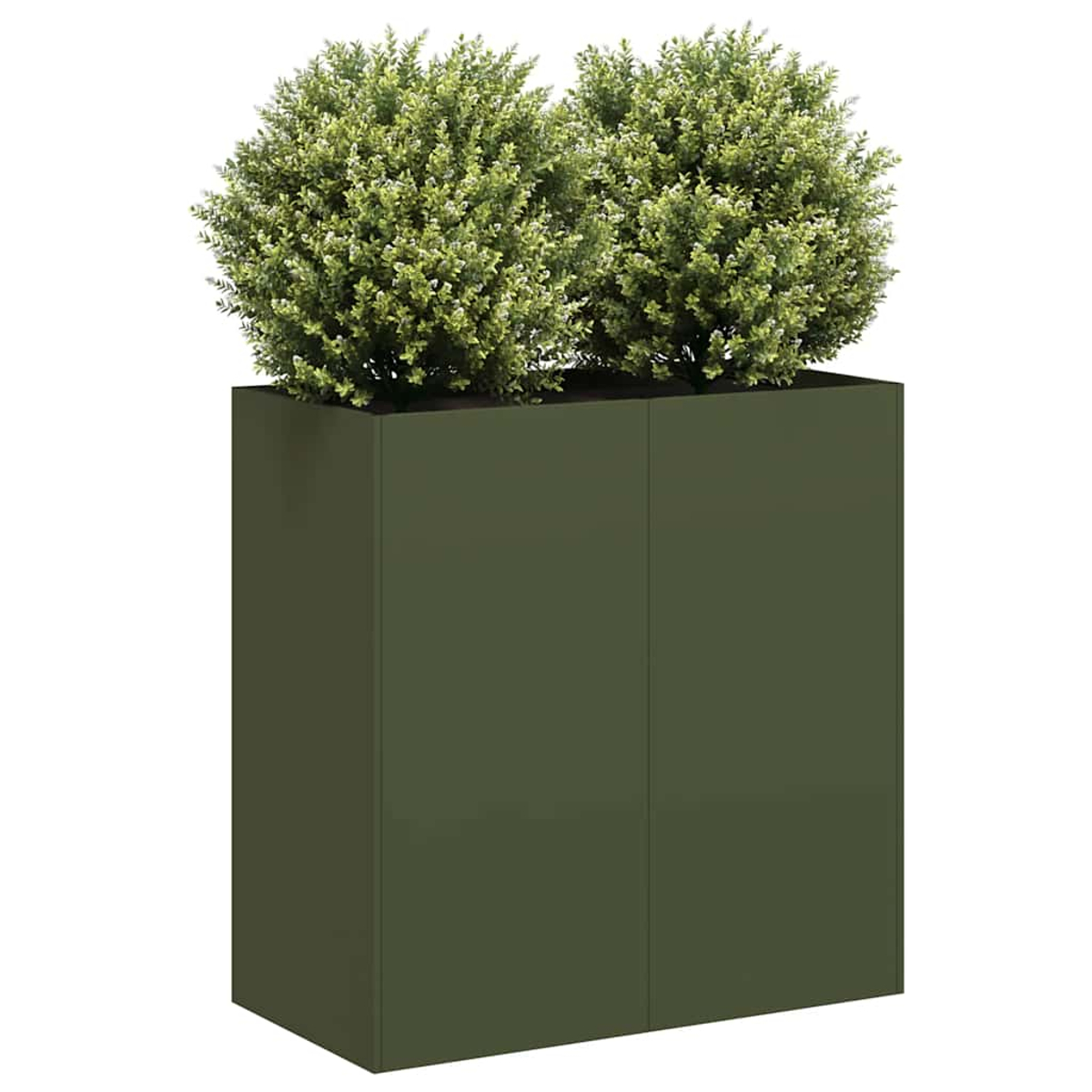 Un alto fioriera rettangolare verde scuro con due cespugli verdi rotondi sopra.
