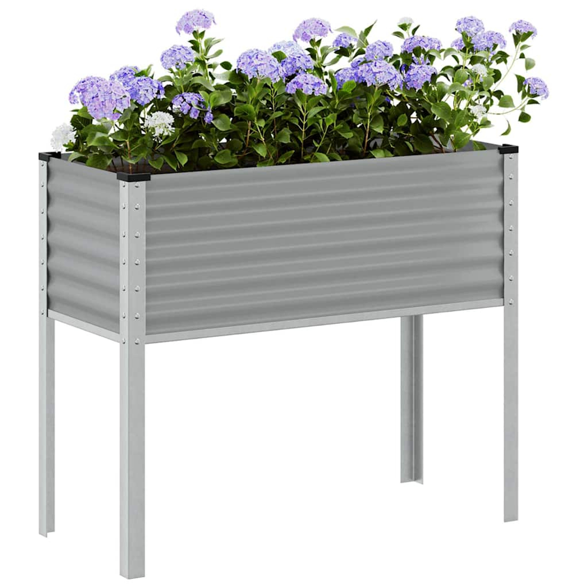 Un'aiuola rialzata in metallo grigio con ortensie blu e foglie verdi.