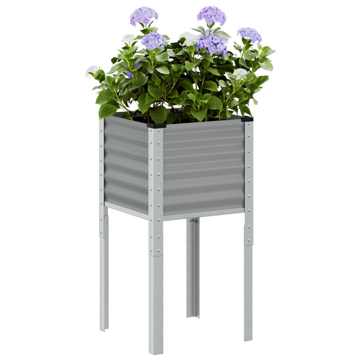 Un fioriera rialzata grigia con ortensie viola e bianche.