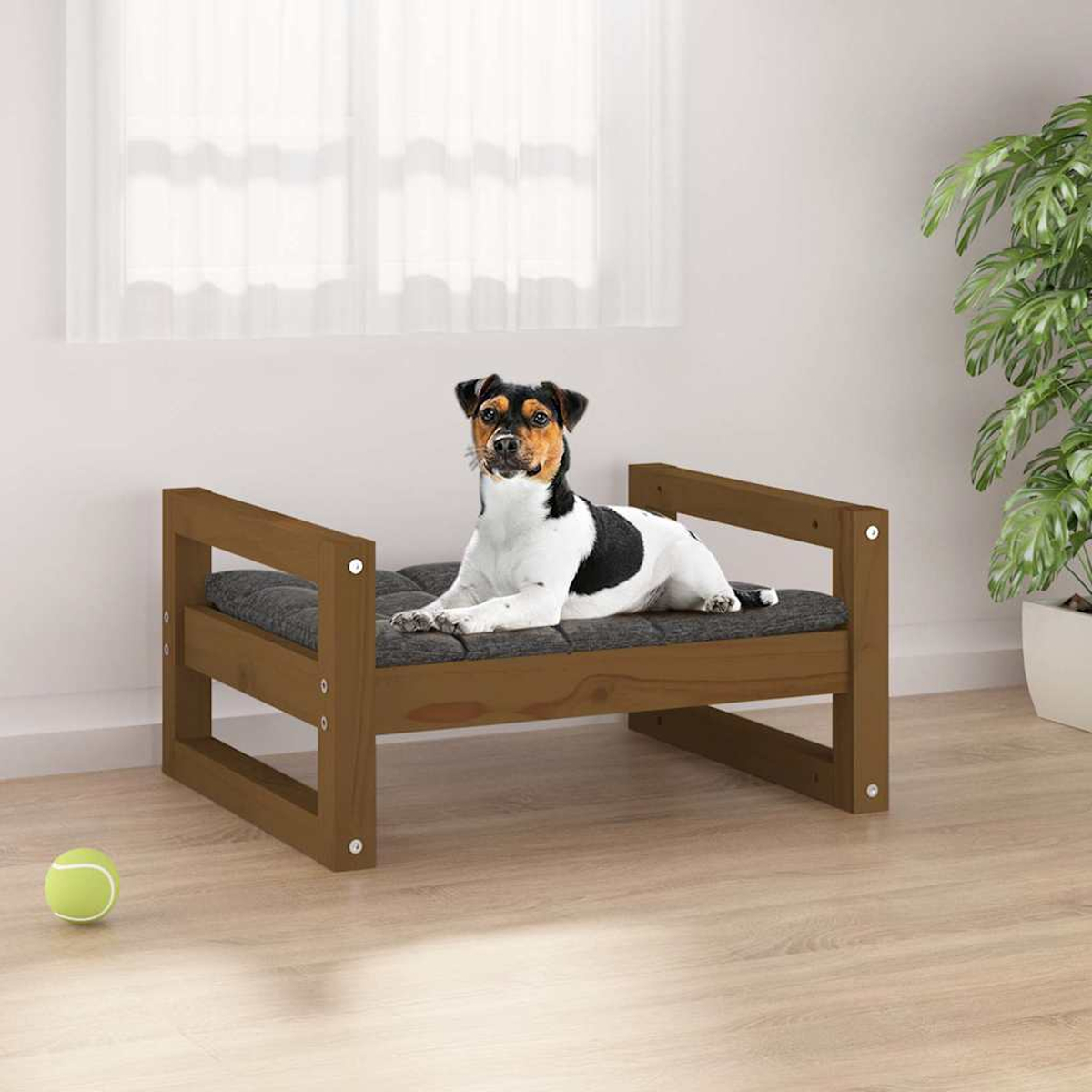 Ein Hund liegt auf einem Holzsofa mit dunklem Kissen, daneben ein Ball.