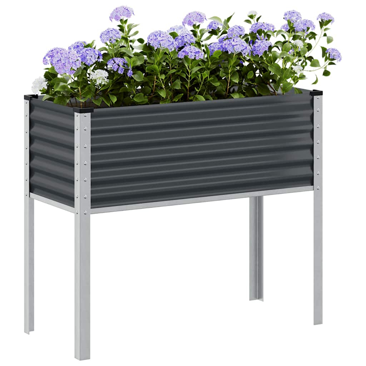 Un'aiuola rialzata grigio scuro con fiori viola e bianchi e foglie verdi.