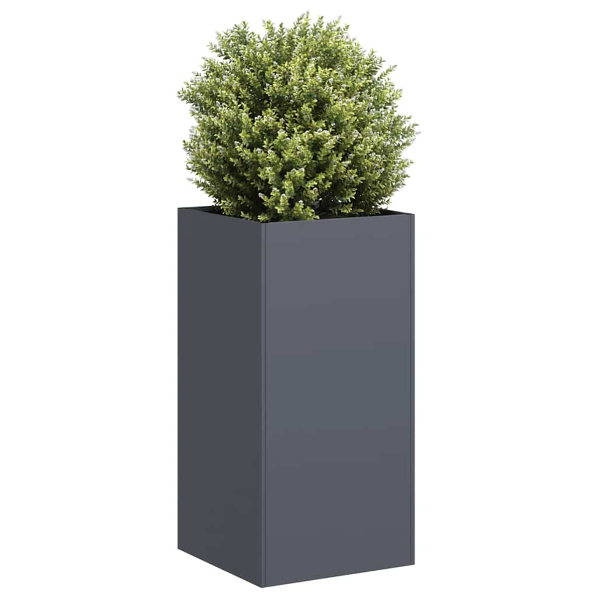 Un cespuglio verde in un alto fioriera rettangolare scura.