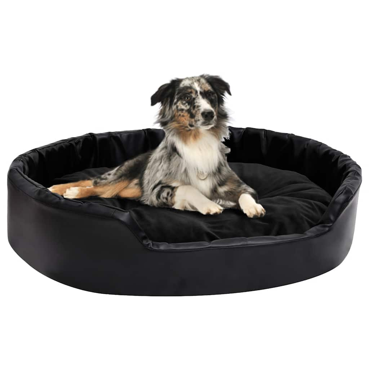Ein gefleckter Hund liegt in einem runden, schwarzen Hundebett.