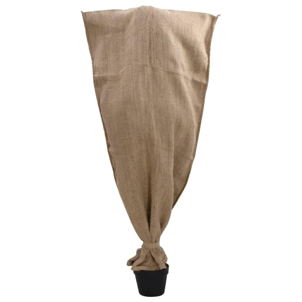 Eine Pflanze in einem schwarzen Topf, eingewickelt in Jute auf weißem Hintergrund.