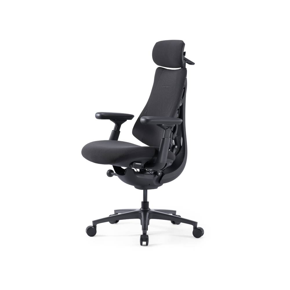 Un fauteuil de bureau ergonomique noir avec dossier en maille et accoudoirs réglables.