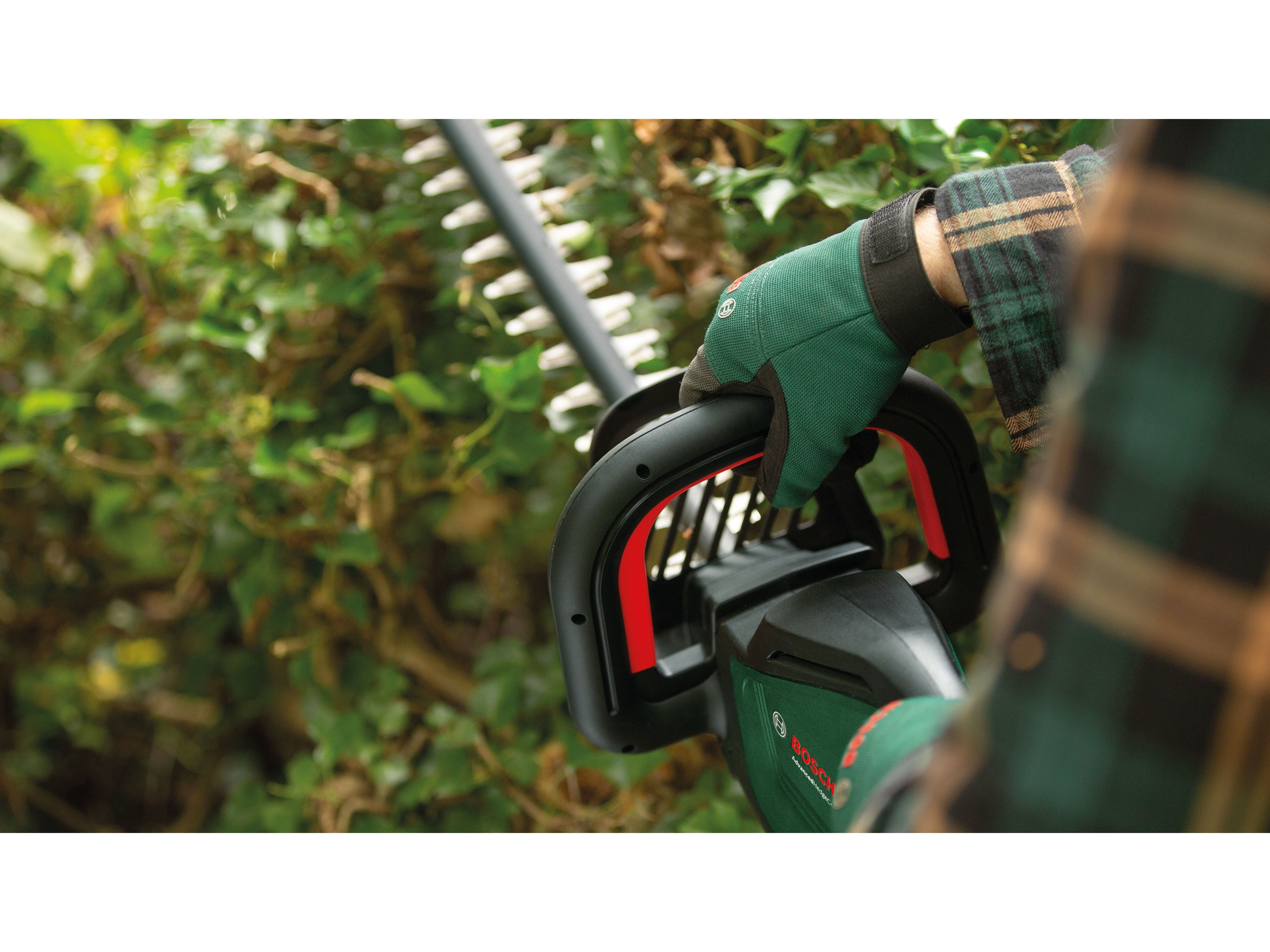 Eine gesehende Hand in grünem Handschuh hält eine Bosch-Heckenschere und trimmt grüne Büsche.