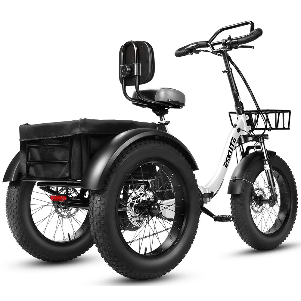 Bicicletta pieghevole ESKUTE T302 Pro