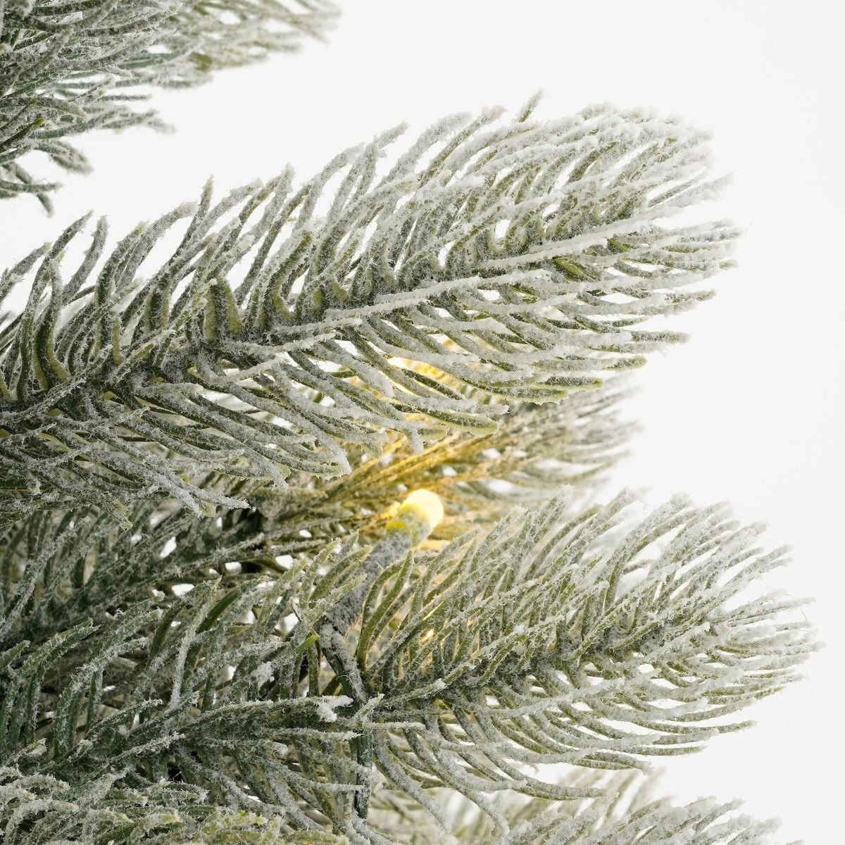 Snow-covered pine tree branches with warm lights against a white background.