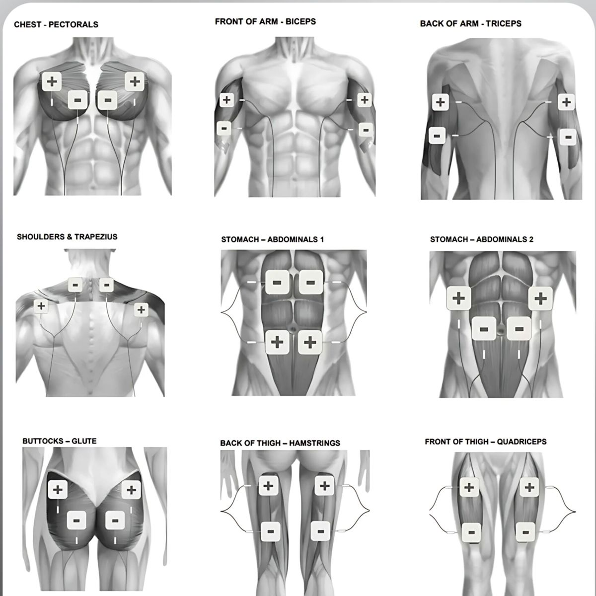 Diagramm zeigt die richtige Elektrodenplatzierung für EMS-Muskelstimulation.