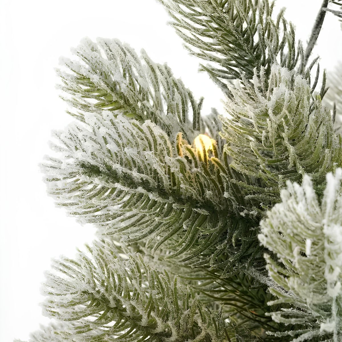 Snow-covered pine needles with a small warm light against a white background.