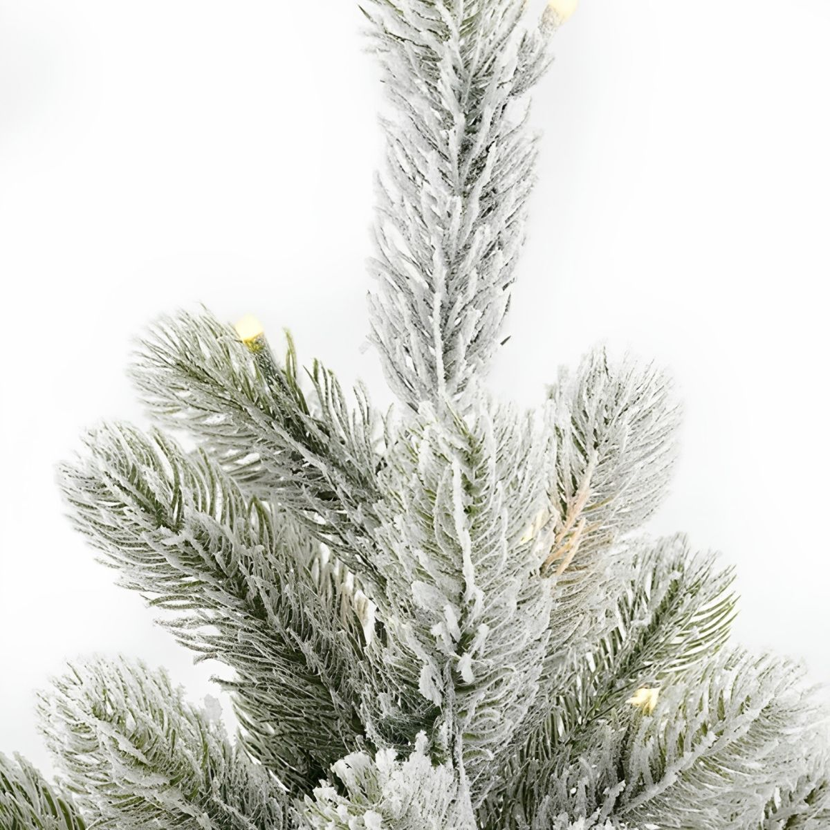 Snow-covered pine branches with small lights against a white background.