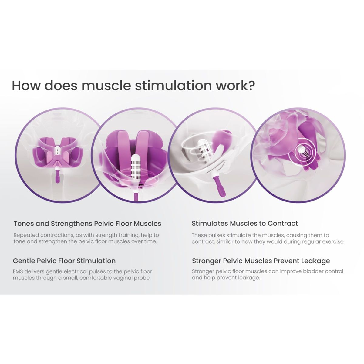 Diagramm zeigt, wie Muskelstimulation den Beckenboden stärkt und kräftigt.