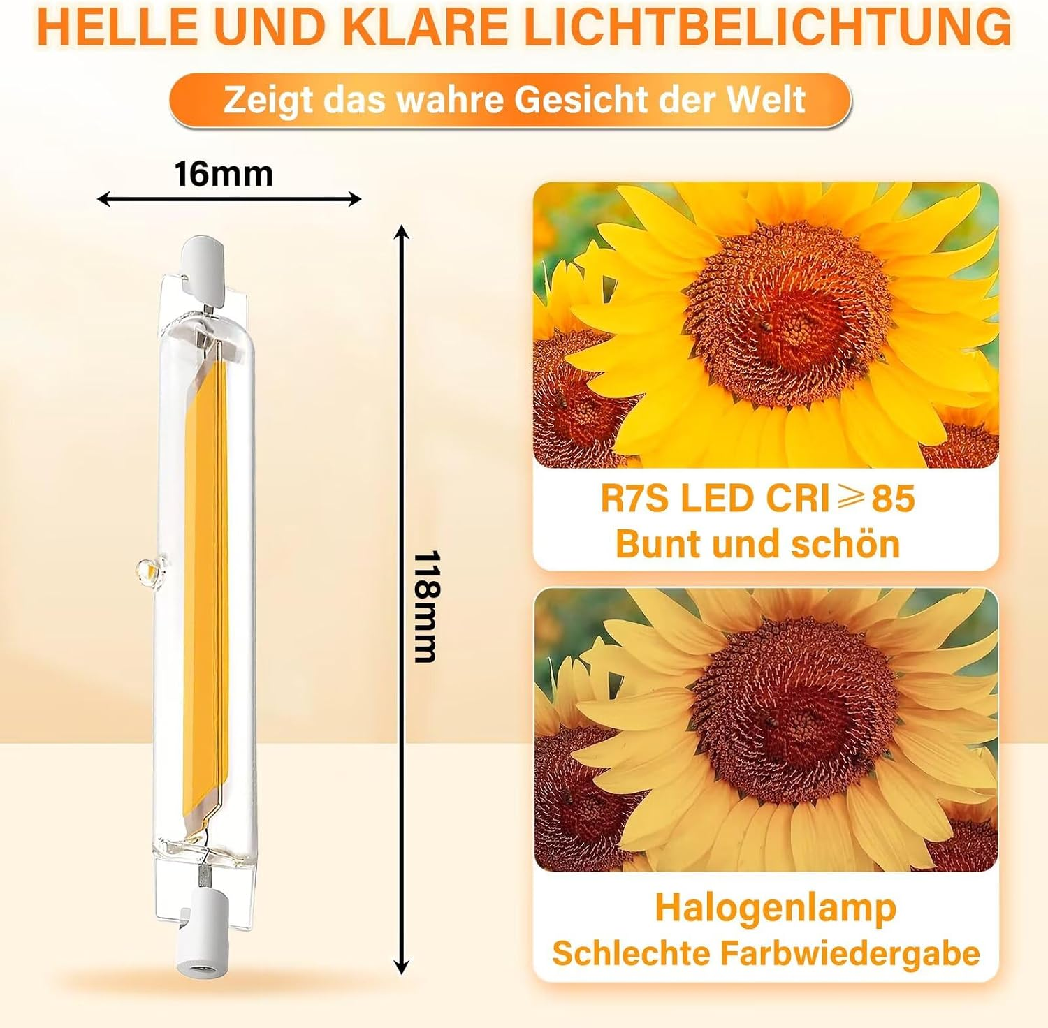 Vergleich zwischen R7S LED mit lebendigen Farben und einer Halogenlampe mit schlechter Farbwiedergabe an Sonnenblumen.
