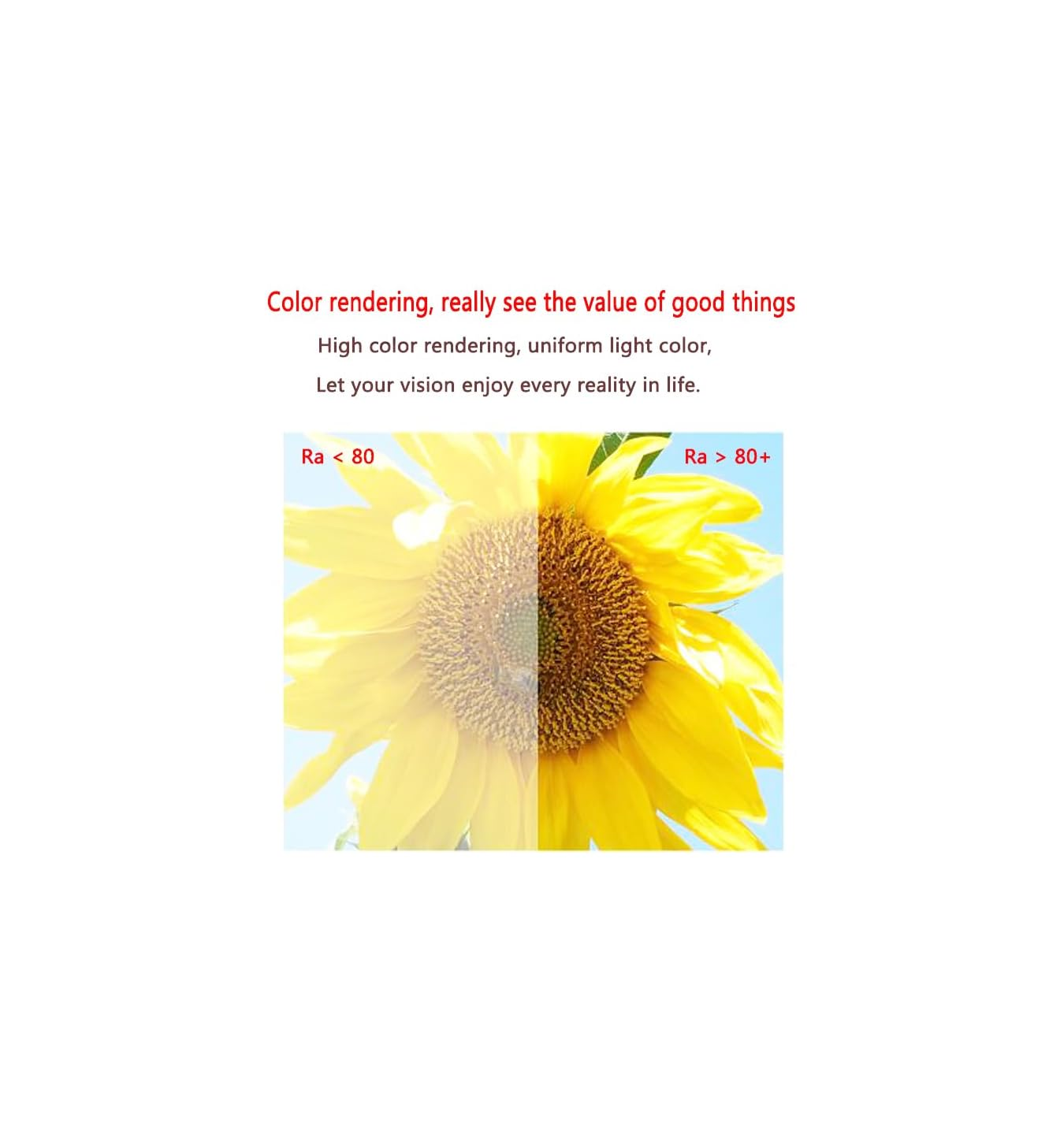 Vergleich einer Sonnenblume bei Ra <lt/> 80 und Ra <gt/> 80+ Beleuchtung zeigt lebendige Farbunterschiede.