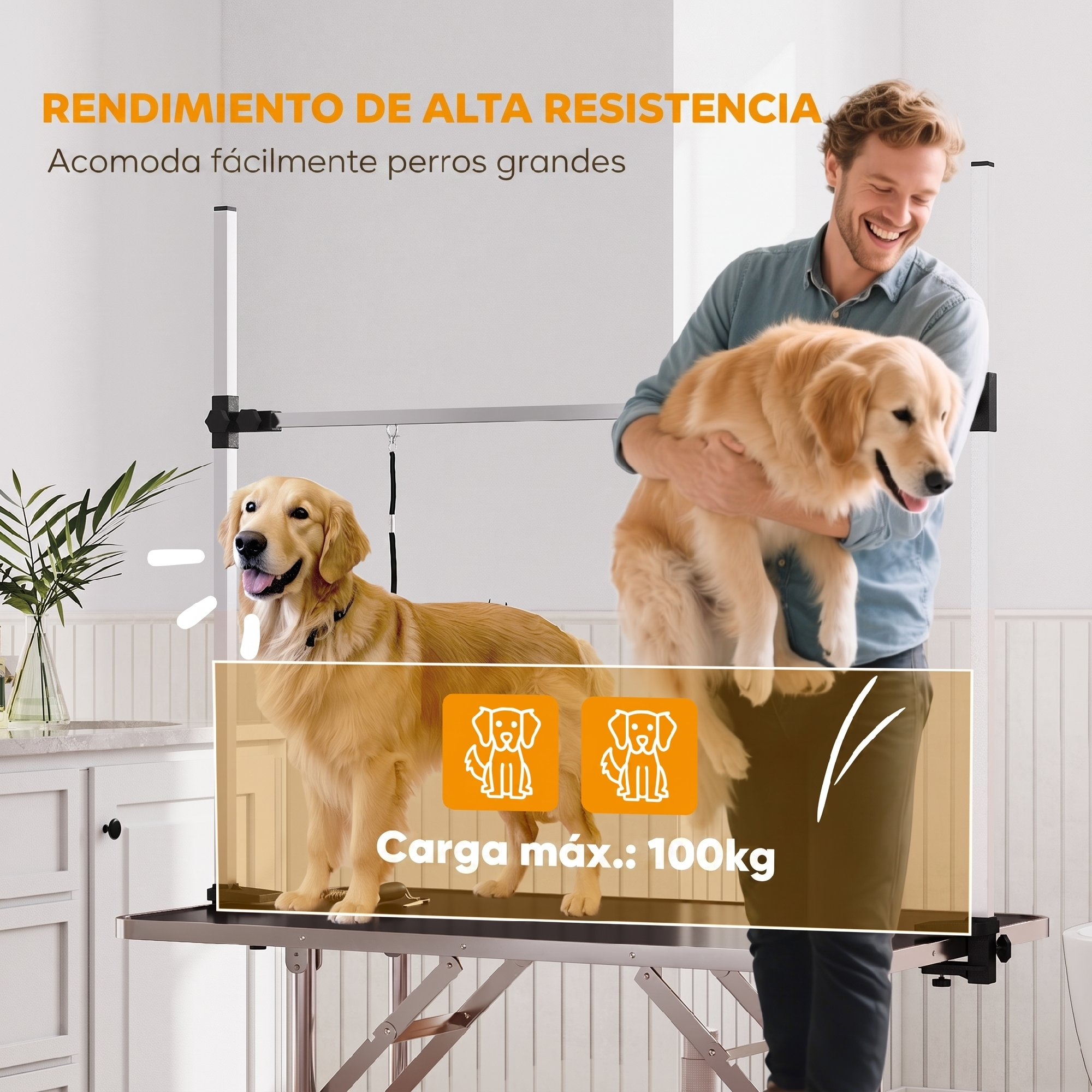 Un hombre sonríe mientras sostiene un Golden Retriever en una mesa de aseo resistente con otro perro.