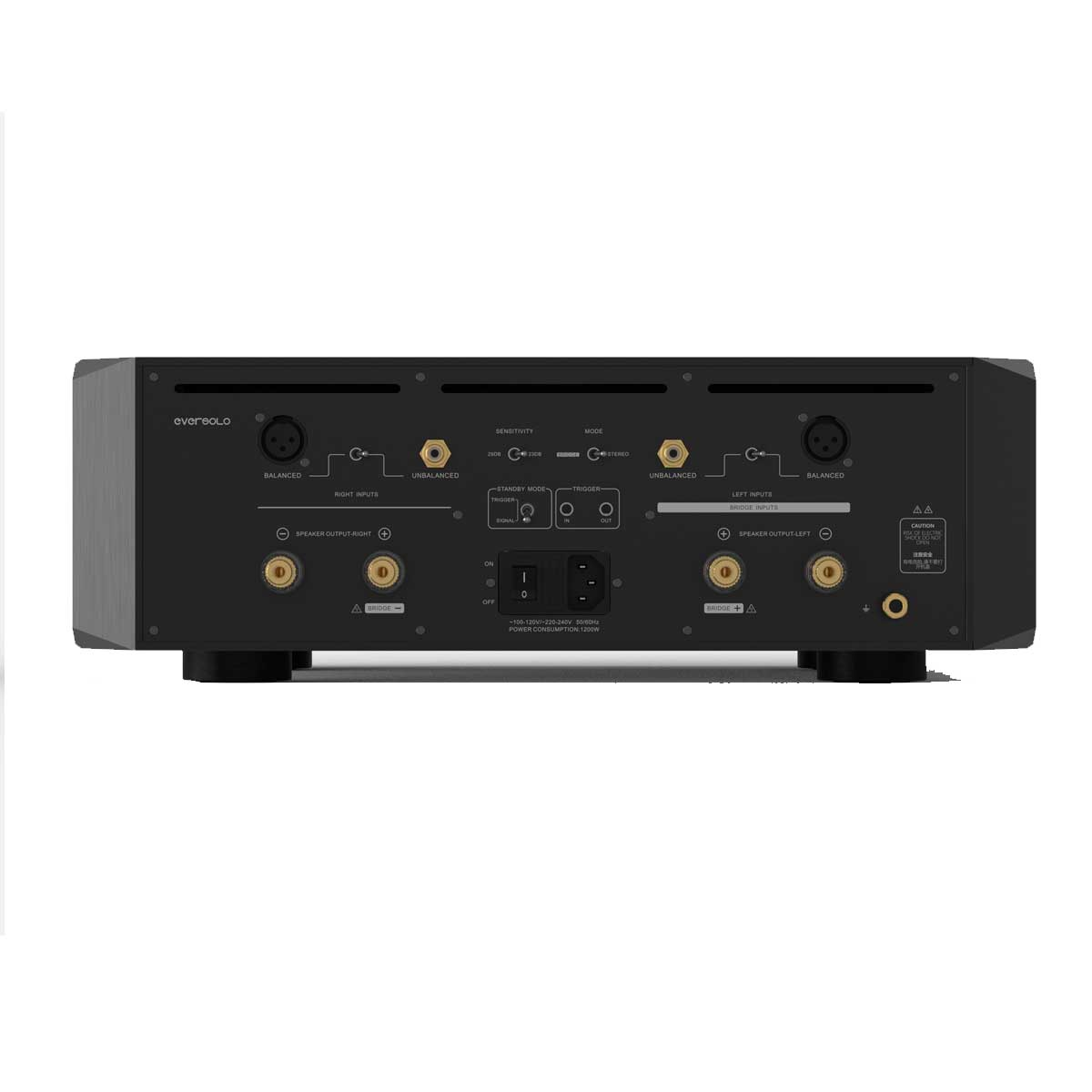 Panel trasero de un amplificador de audio Eversolo negro con varios puertos de audio y enchufes.