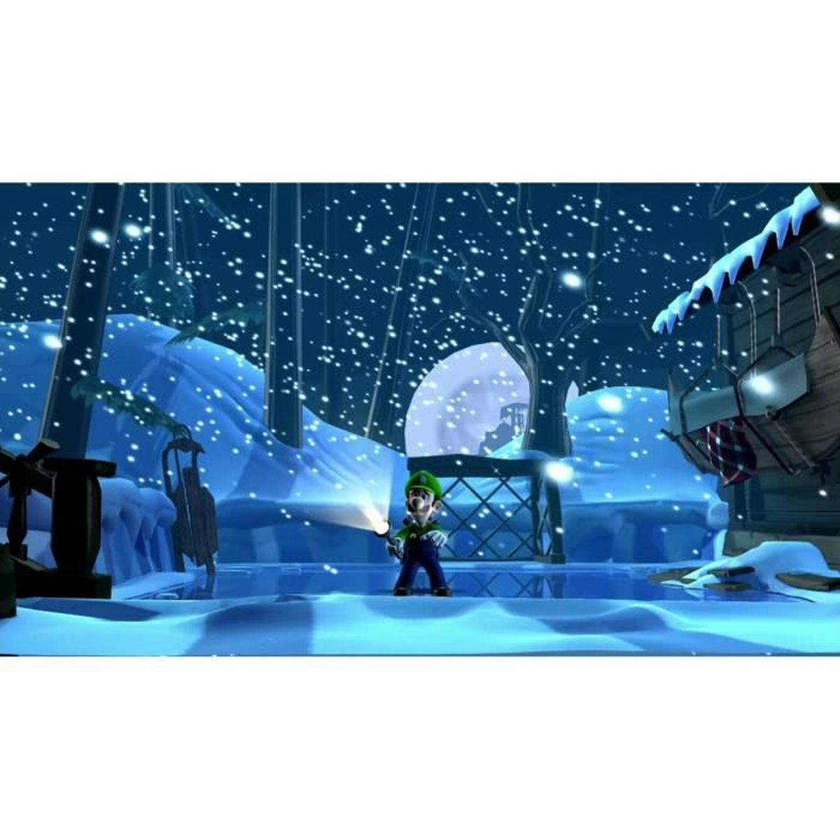 Luigi se tient dans un paysage enneigé la nuit avec une lampe de poche.