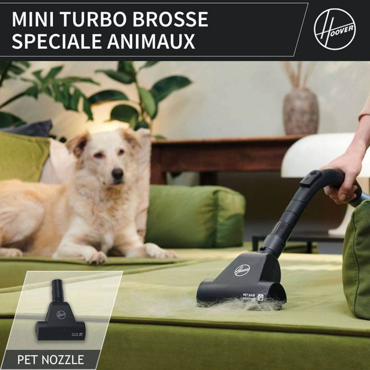 Un aspirapolvere rimuove peli di animali da un divano verde, con un cane sullo sfondo.
