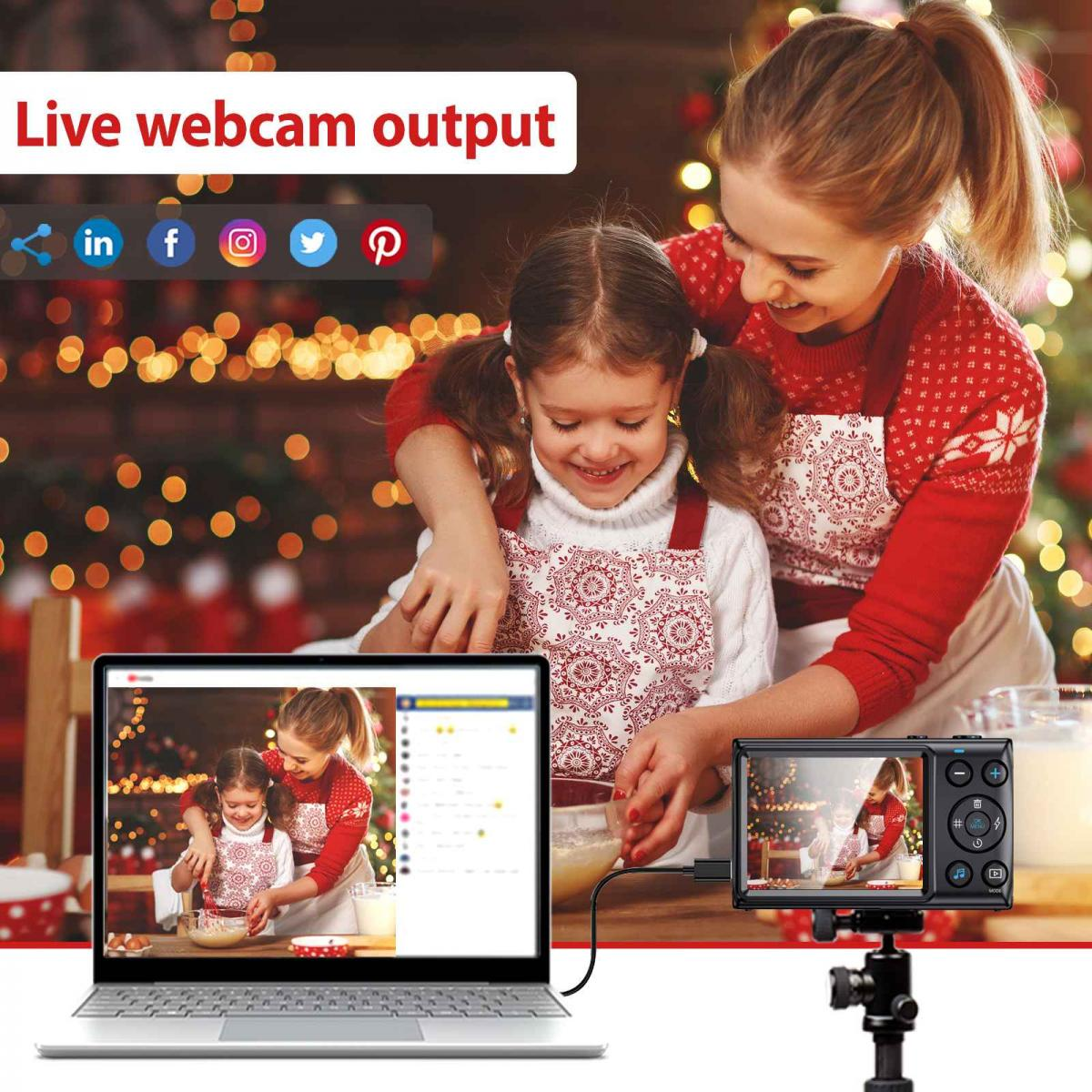 Eine Frau und ein Mädchen machen Weihnachtskekse, verbunden mit einer Webcam und einem Laptop.