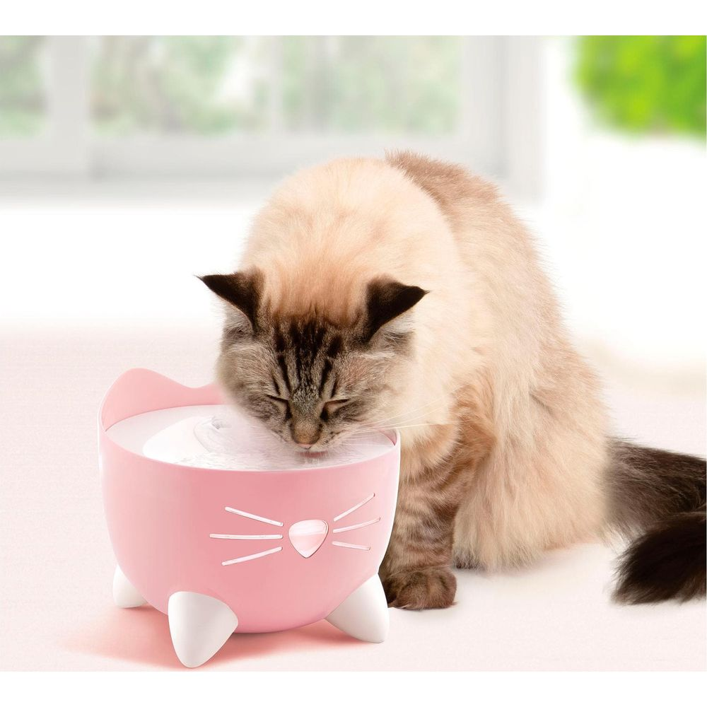 Eine flauschige Katze trinkt aus einem rosa, katzenförmigen Wassernapf mit weißen Füßen und Schnurrhaaren.